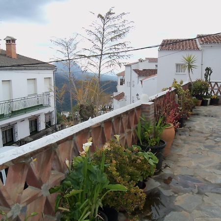 Apartamentos Rurales Jardines Del Visir Genalguacil Extérieur photo
