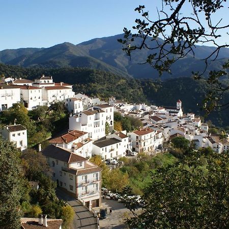 Apartamentos Rurales Jardines Del Visir Genalguacil Extérieur photo
