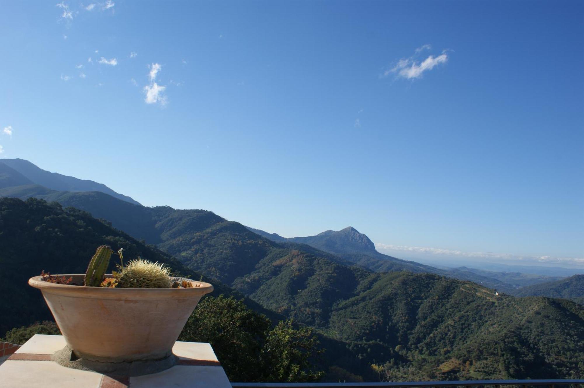 Apartamentos Rurales Jardines Del Visir Genalguacil Extérieur photo