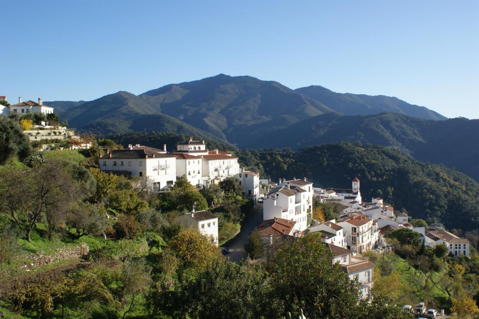 Apartamentos Rurales Jardines Del Visir Genalguacil Extérieur photo