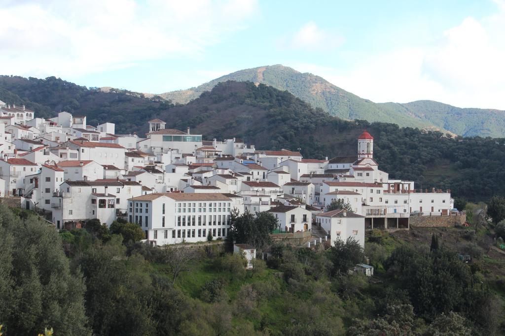 Apartamentos Rurales Jardines Del Visir Genalguacil Extérieur photo
