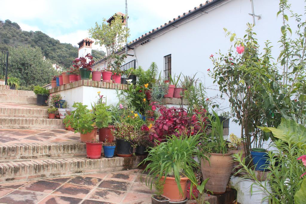 Apartamentos Rurales Jardines Del Visir Genalguacil Extérieur photo